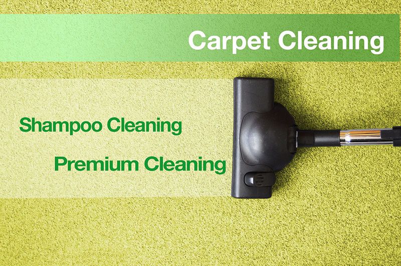 CARPET CLEANING