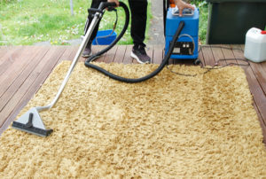 Premium Carpet Cleaning Vacuum